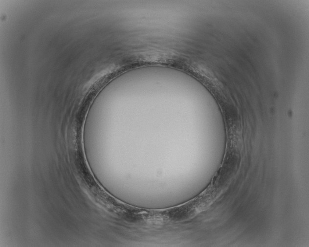 X0000063460587200601271606