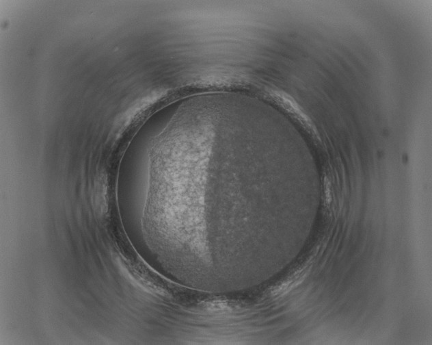 X0000063460588200601271606