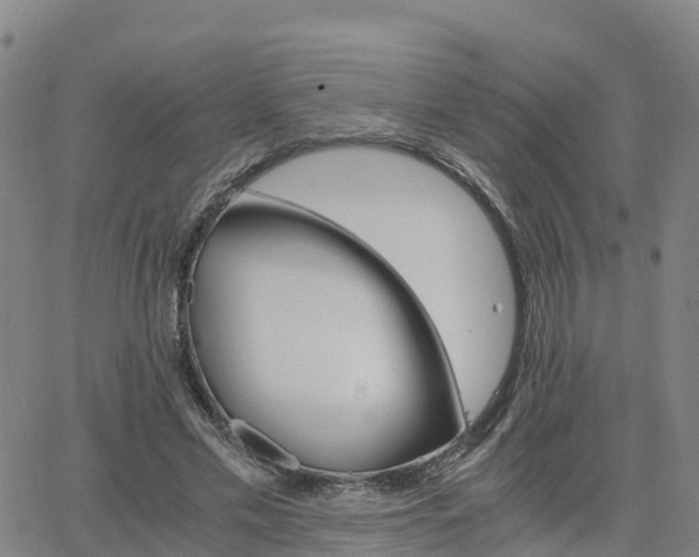 X0000063460589200601271606