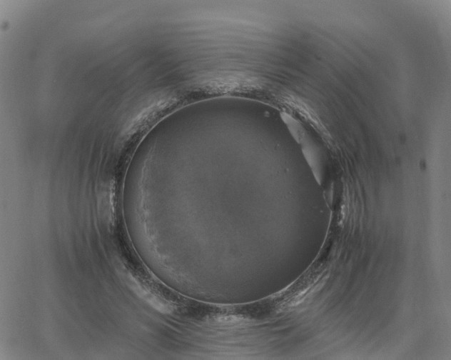 X0000063460590200601271606