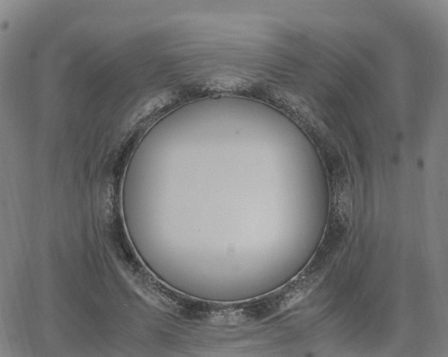 X0000063460591200601271606