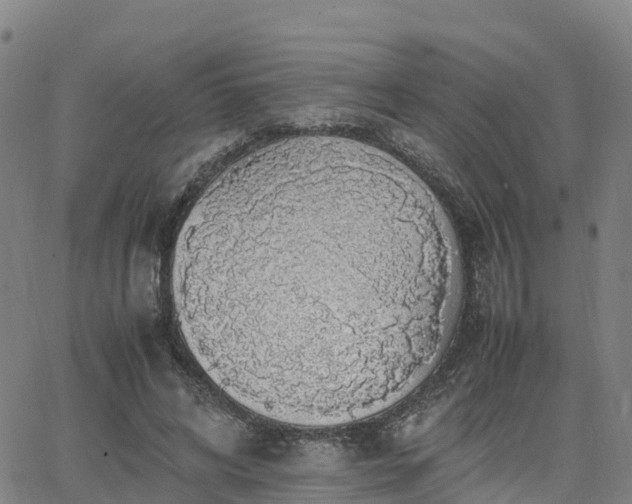 X0000063460592200601271606