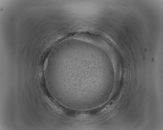 X0000063460593200601271606