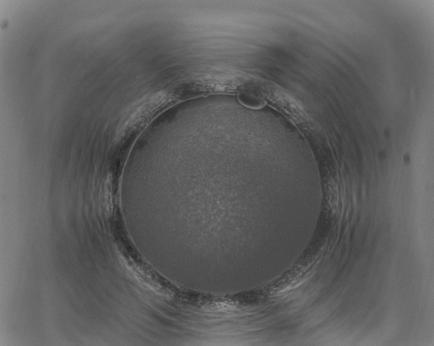 X0000063460594200601271606