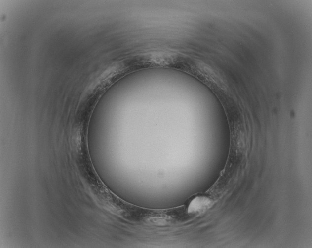 X0000063460595200601271606