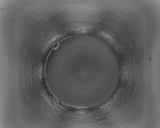 X0000063460596200601271606