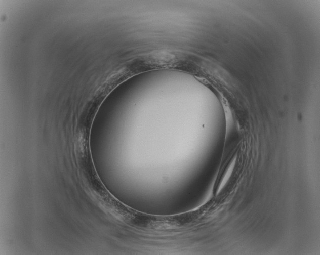 X0000063460597200601271606