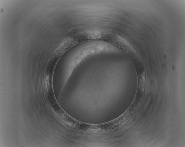 X0000063460598200601271606