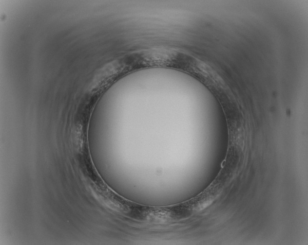 X0000063460599200601271606