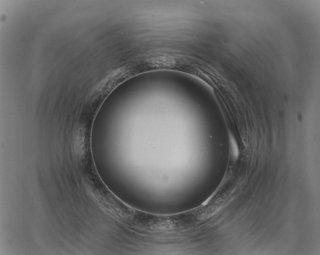 X0000063460600200601271606