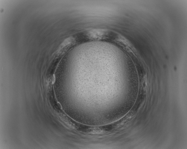 X0000063460601200601271606