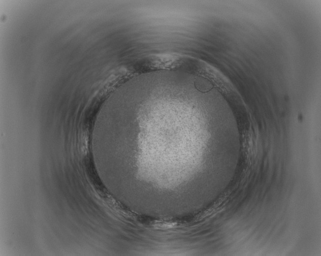 X0000063460602200601271606