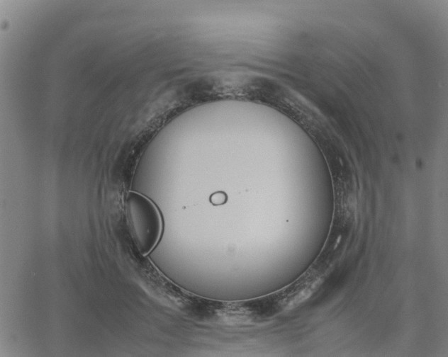 X0000063460603200601271606