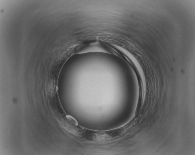 X0000063460605200601271606