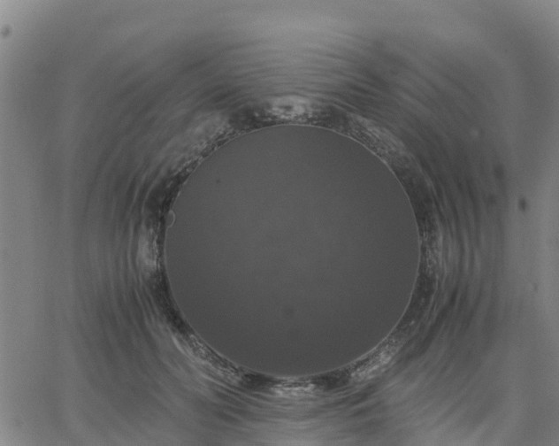 X0000063460606200601271606