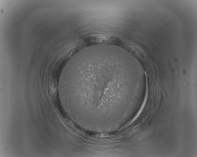 X0000063460607200601271606