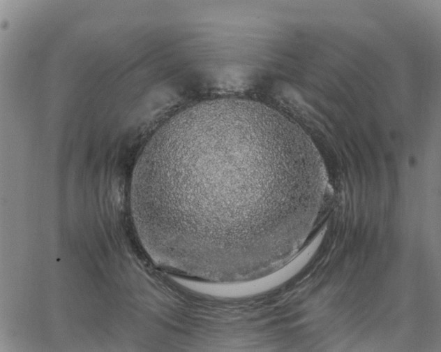 X0000063460608200601271606