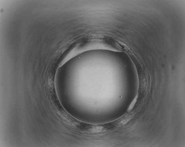 X0000063460609200601271606