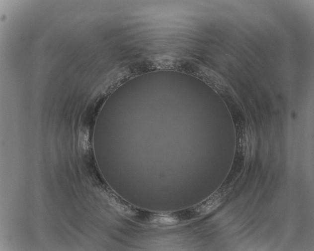 X0000063460610200601271606