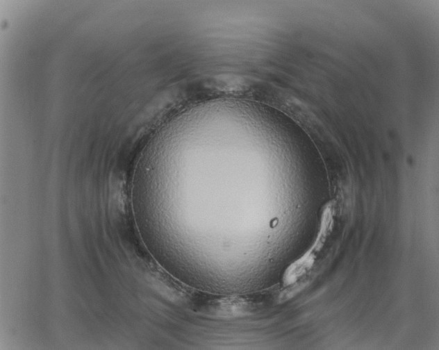 X0000063460612200601271606