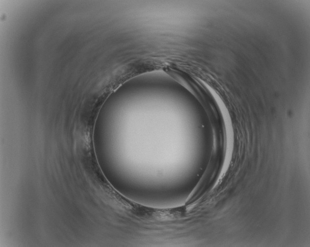 X0000063460613200601271606