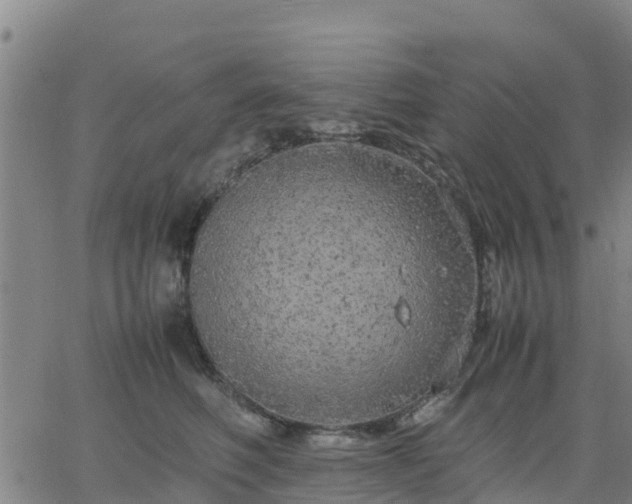 X0000063460614200601271606