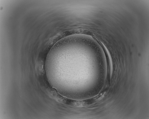 X0000063460615200601271606