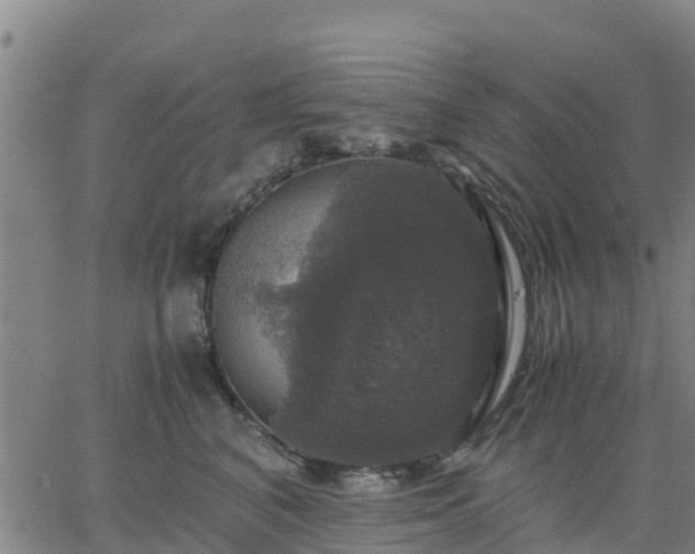 X0000063460616200601271606