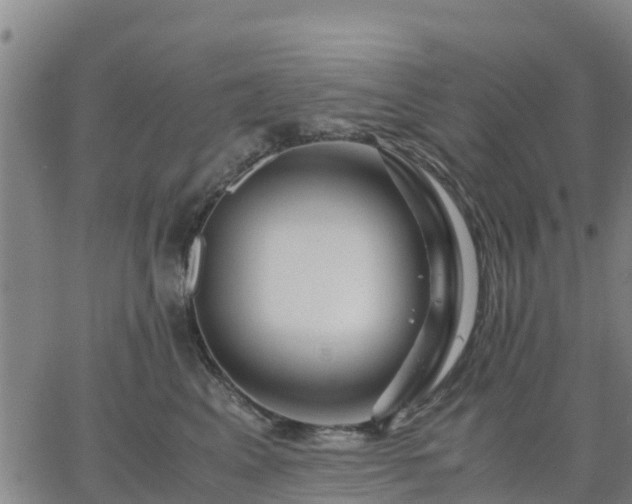 X0000063460617200601271606