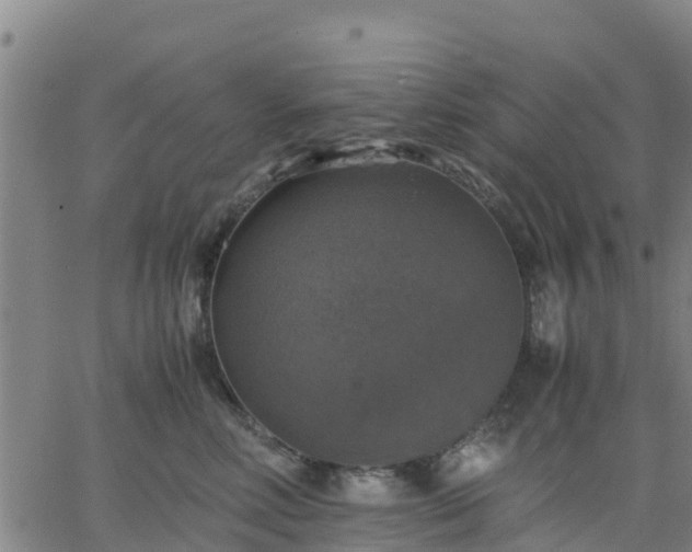 X0000063460618200601271606