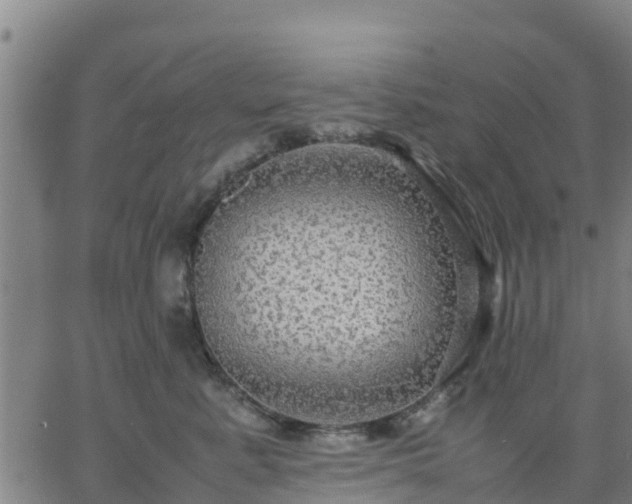 X0000063460619200601271606