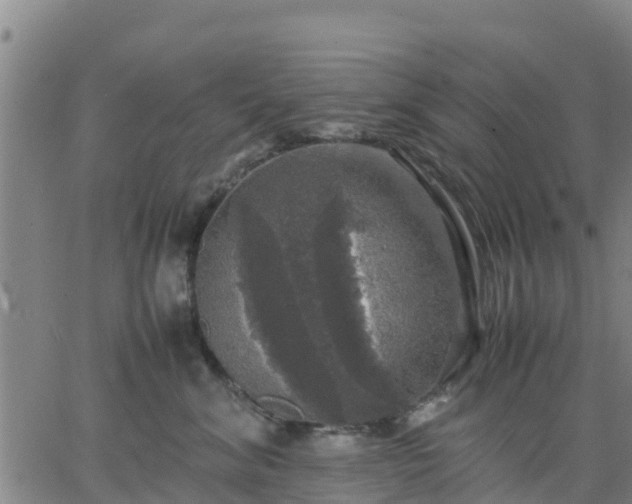 X0000063460620200601271606