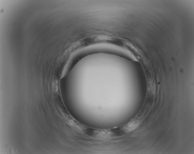 X0000063460621200601271606