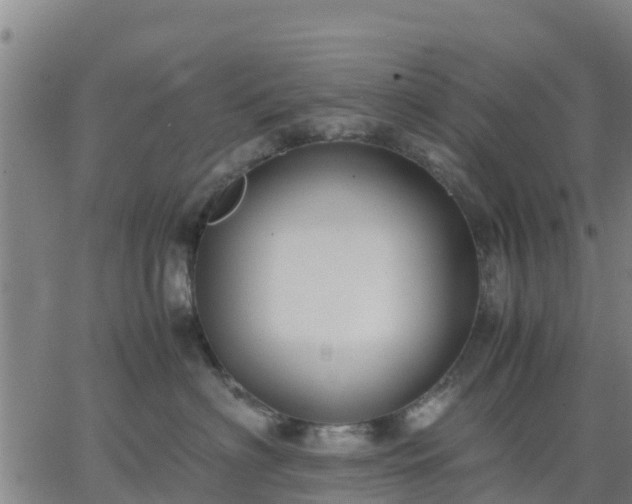 X0000063460622200601271606