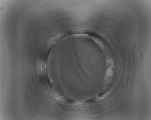 X0000063460624200601271606