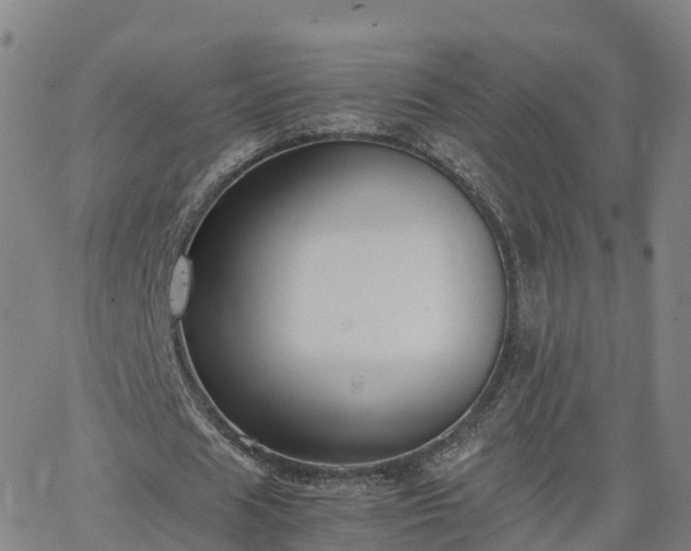 X0000063460625200601271605