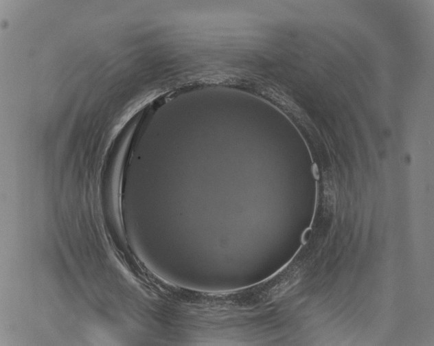 X0000063460626200601271605