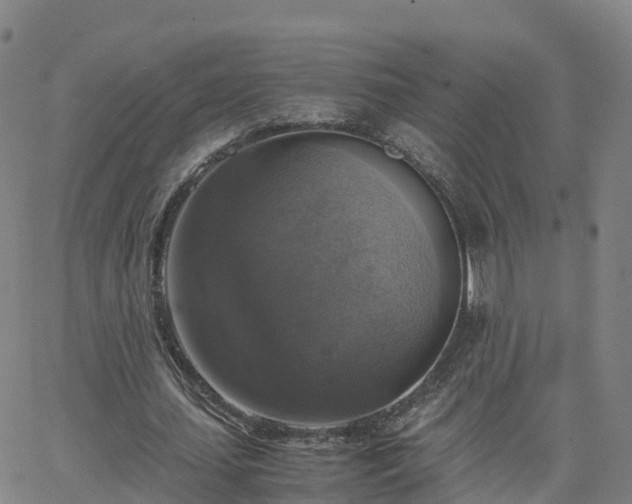 X0000063460627200601271605