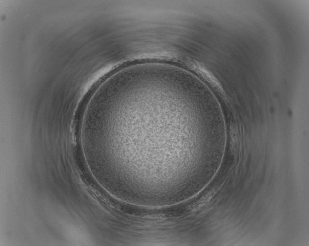 X0000063460628200601271605