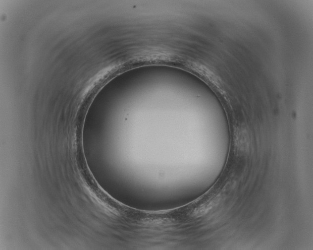 X0000063460629200601271605