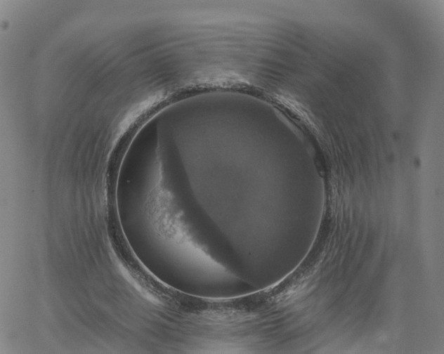 X0000063460630200601271605