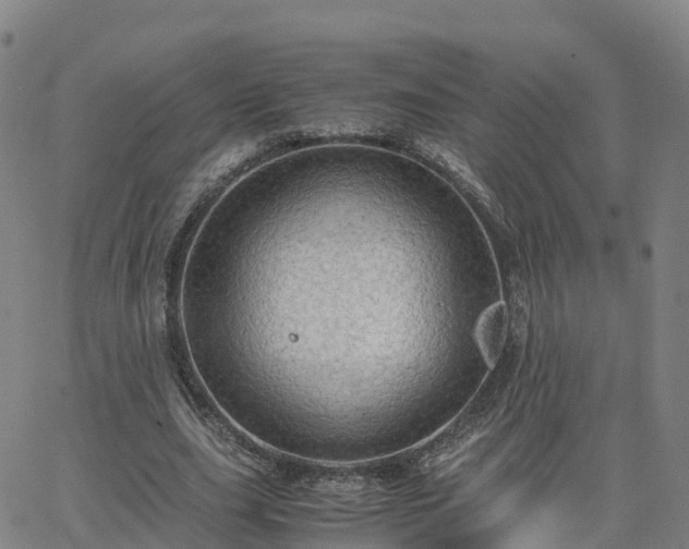 X0000063460631200601271605