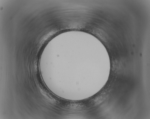 X0000063460632200601271605