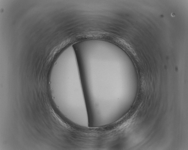 X0000063460633200601271605