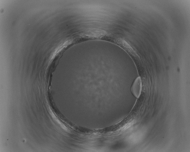 X0000063460634200601271605