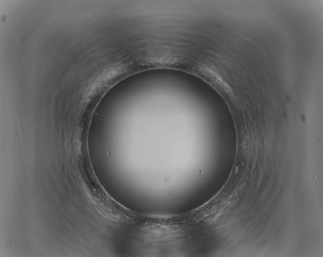 X0000063460635200601271605