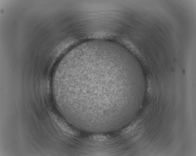 X0000063460636200601271605