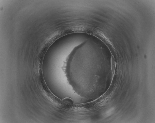 X0000063460637200601271605