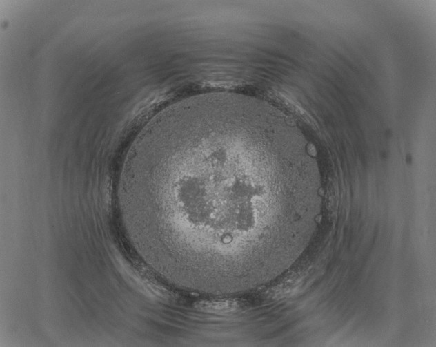 X0000063460639200601271605