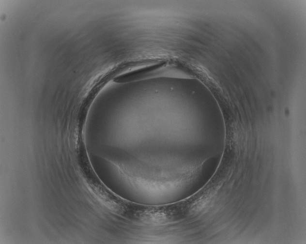 X0000063460640200601271605